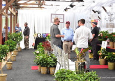 At Windmill, Jim Berry of J. Berry Nurseries talking with visitors.